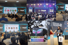 November 2025 Pulse (1)